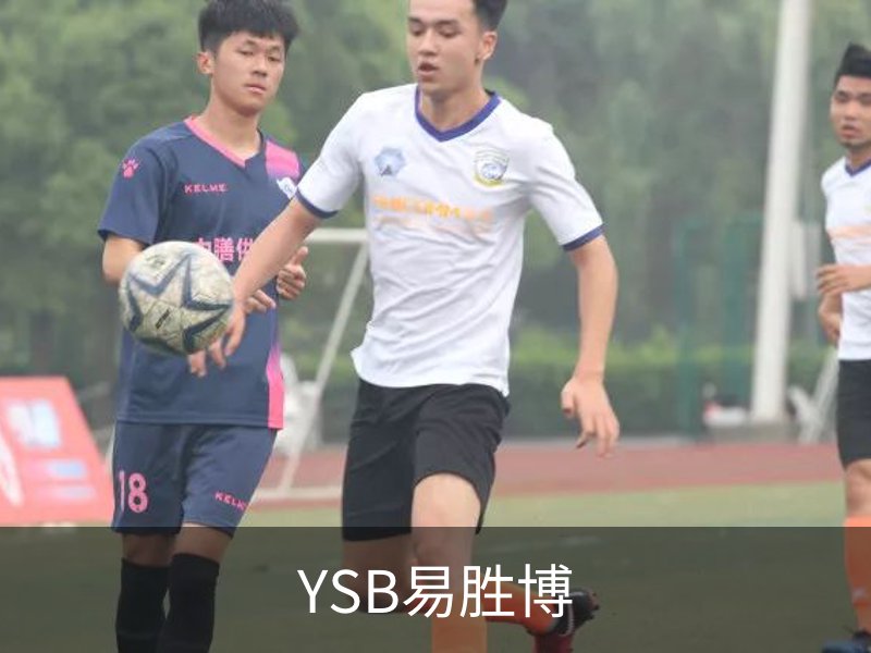 YSB易胜博概况